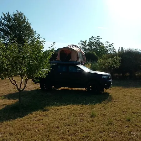 Camping Tente Cocoon
